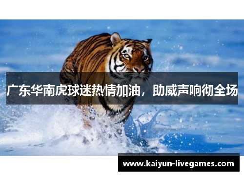广东华南虎球迷热情加油，助威声响彻全场